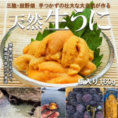 【予約・7月中旬発送】岩手・三陸　小さな村のきれいな海で育った　瓶入り　濃厚生うに(160g)【配送不可地域：離島・沖縄県・九州】【1657588】