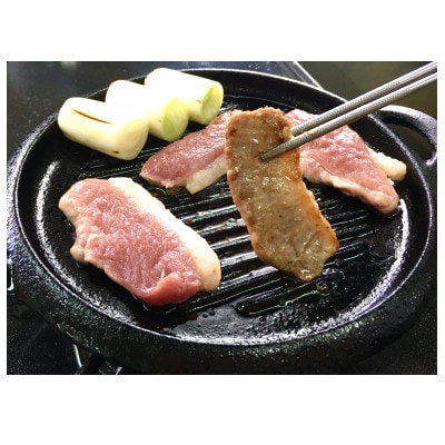 ã岩æäžéžãã®ã¯ã鎚ããããèã1æããã¯Ã2ããã¯ãéå®300ã»ãã!ãé
éäžå¯å°åïŒé¢å³¶ãã1637794ã