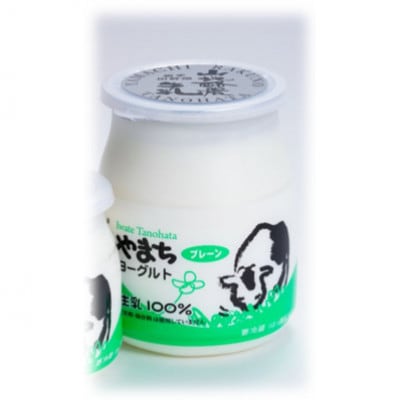 〜大自然で生まれ育った牛さんの恵〜チーズ2種・ヨーグルト詰合せ【配送不可地域：離島】【1721066】