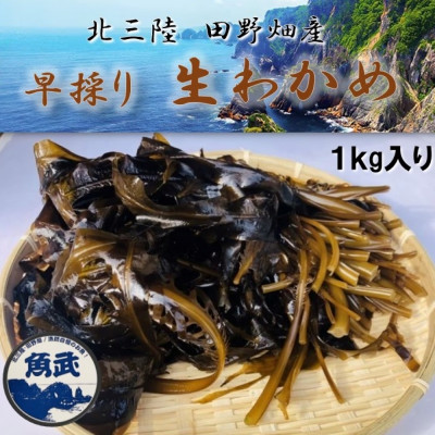 【期間限定】早採り生わかめ 1kg【配送不可地域：離島・沖縄県・九州】【1482533】