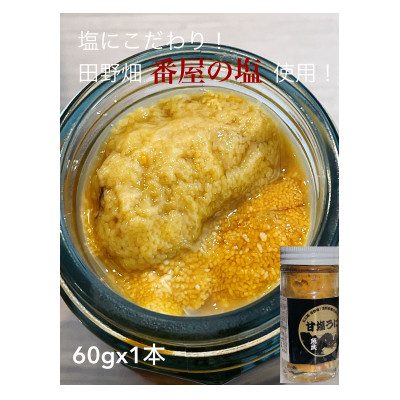 塩にこだわり! 塩うに 1本【配送不可地域：離島】【1546854】