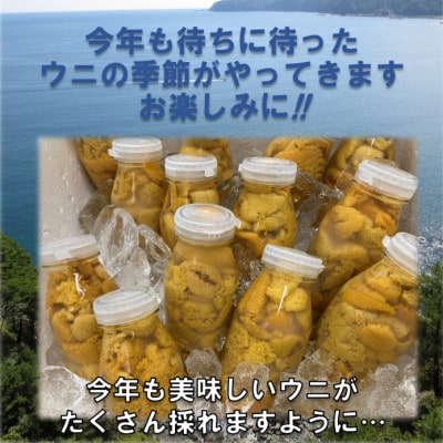 【予約・6月〜発送】岩手・三陸　小さな村のきれいな海で育った新鮮瓶入り　天然生うに(160g×3本)【配送不可地域：離島・沖縄県・九州】【1731706】