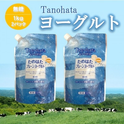 たのはたプレーンヨーグルト【無糖】1000ml　2パック　【配送不可地域：離島】【1588649】