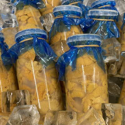 【令和7年6月〜順次発送】断崖と荒波で育つ　岩手・北三陸たのはた　瓶入り生うに(約200g入り1本)【配送不可地域：離島・沖縄県・九州】【1550253】