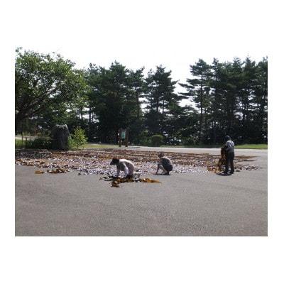 1ççŽãäžéžç°éçæåå±±åŽã®å€©ç¶é»æåžã2è¢ã»ããã1371830ã