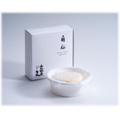 〜大自然で生まれ育った牛さんの恵〜白仙(山地ダブルクリーム)2個セット(1個×140g)【配送不可地域：離島】【1721067】