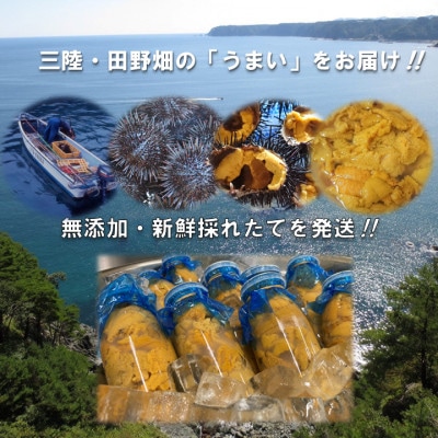 【予約R8.6月〜発送】三陸生うに　180g2本　国立公園・田野畑村から(瓶入りミョウバン不使用)　【配送不可地域：離島・沖縄県・九州】【1634796】