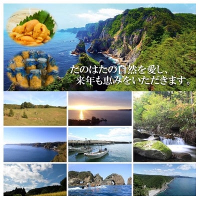 【予約・7月中旬発送】岩手・三陸　小さな村のきれいな海で育った　瓶入り　濃厚生うに(160g×2本)【配送不可地域：離島・沖縄県・九州】【1657611】