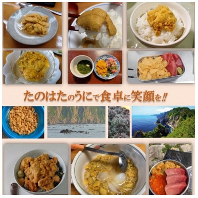 ãäºçŽã»7æäžæ¬çºéã岩æã»äžéžãå°ããªæã®ããããªæµ·ã§è²ã£ããç¶å
¥ããæ¿åçãã«(160g)ãé
éäžå¯å°åïŒé¢å³¶ã»æ²çžçã»ä¹å·ãã1657588ã