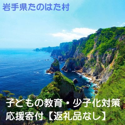 【返礼品なし】岩手県田野畑村　子どもの教育および少子化対策に関する事業　応援寄付【1592861】