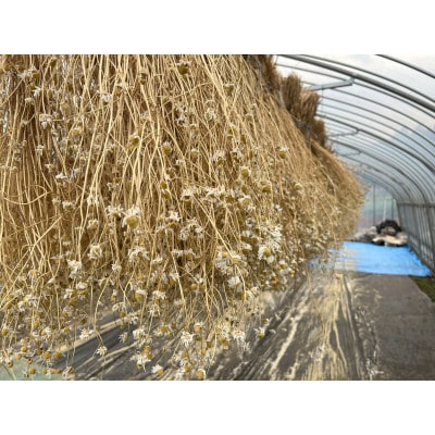 è¯èæ(KAMITSUREN)ã«ã¢ããŒã«ãšãã¹100%è¬çšå
¥æµŽå€ 300ml(å»è¬éšå€å)ã1723703ã