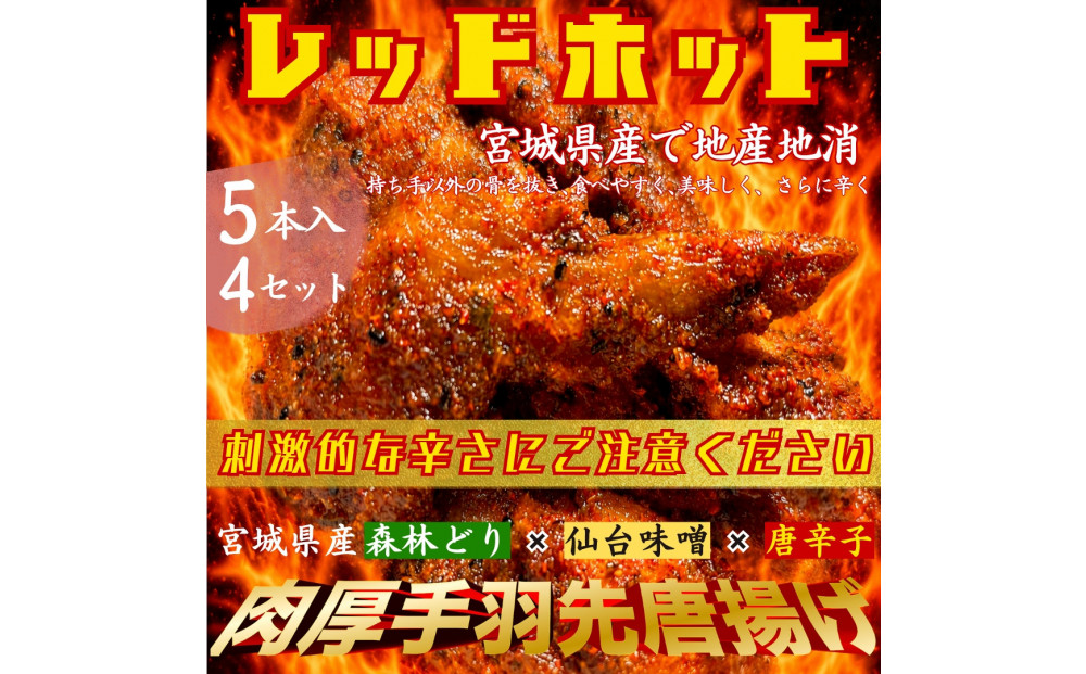 レッドホット特製手羽先唐揚げ【たけてば】瞬間急速冷凍仕上げ(5本入×4セット）【 惣菜 冷凍 冷凍から揚げ つまみ お酒のあて おかず お弁当 レンジ調理 温めるだけ 簡単調理 時短 ギフト お歳暮 贈答品 】