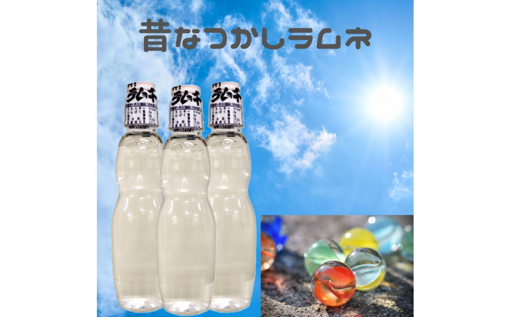 【なつかしい味】ペットラムネ（250ml×30本）