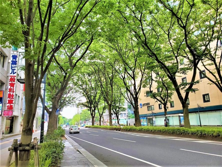 観光タクシー 仙台をぐるり一回りコース　【チケット 券 人気 おすすめ 】