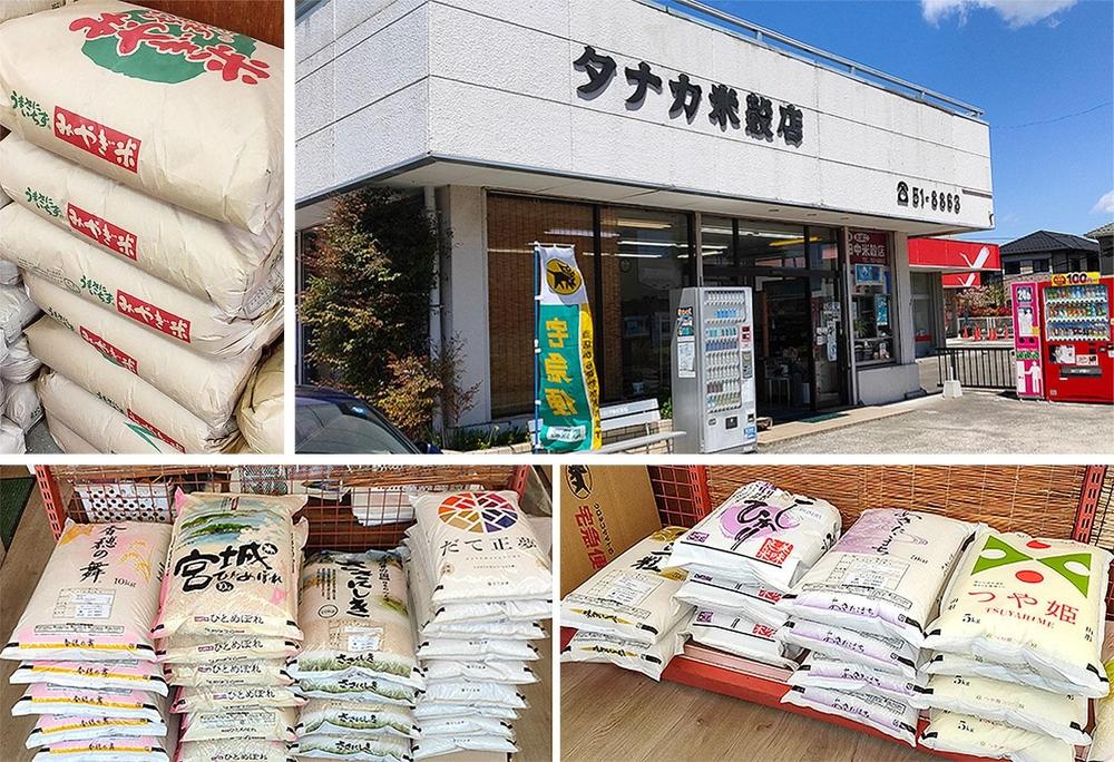 【宮城県産 だて正夢】令和7年度産 精米 5kg（5kg×1袋）●【米 お米 こめ コメ ご飯 ごはん】