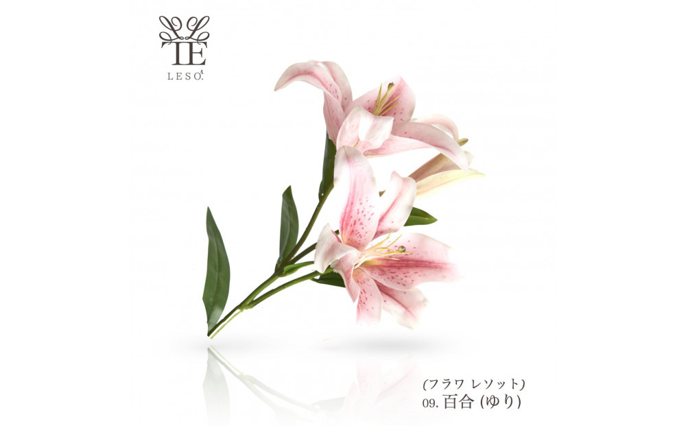 譛ャ迚ゥ縺ョ闃ア縺ョ鬥吶j 繝ェ繝シ繝峨サ繝繧」繝輔Η繝シ繧カ繝シ縲舌Μ繝ェ繝シ縲