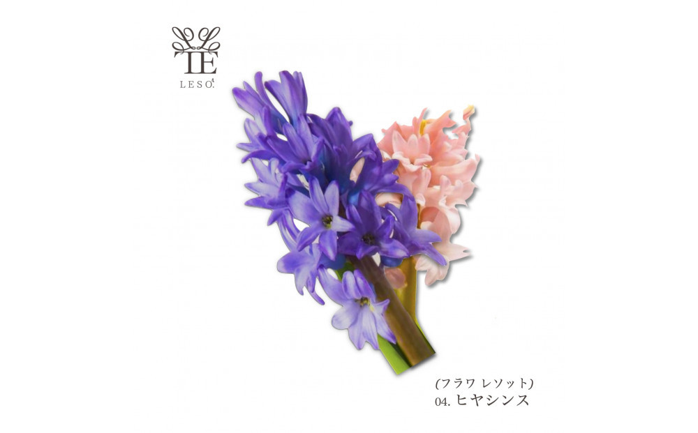 譛ャ迚ゥ縺ョ闃ア縺ョ鬥吶j 繝ェ繝シ繝峨サ繝繧」繝輔Η繝シ繧カ繝シ縲舌ヲ繝、繧キ繝ウ繧ケ縲