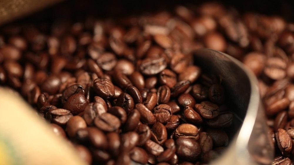 ã3ã¶æé£ç¶ãå±ããç
ãããŠçç²SENDO䟿 çç²çŽè¡ïŒ¢ããå®æäŸ¿ã» ã³ãŒããŒè± 飲ã¿ç© 飲æ ã³ãŒããŒãã¬ã€ã¯ äŒæ© äžæ¯ ã¢ãŒãã³ã°ã³ãŒããŒ ææ¿ãã ã