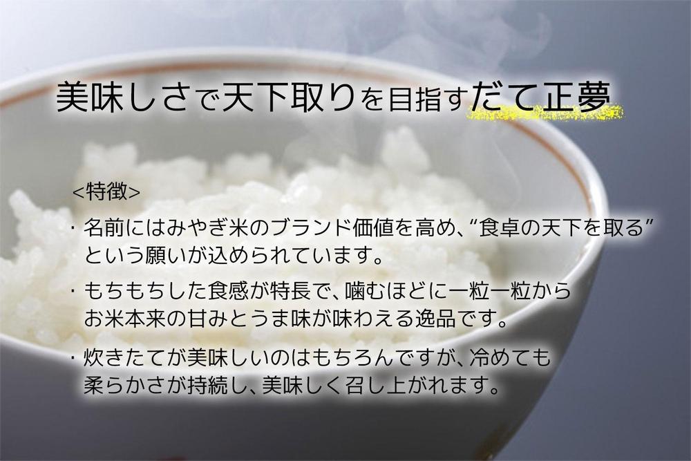 【宮城県産 だて正夢】令和7年度産 精米 10kg（5kg×2袋）●【米 お米 こめ コメ ご飯 ごはん】
