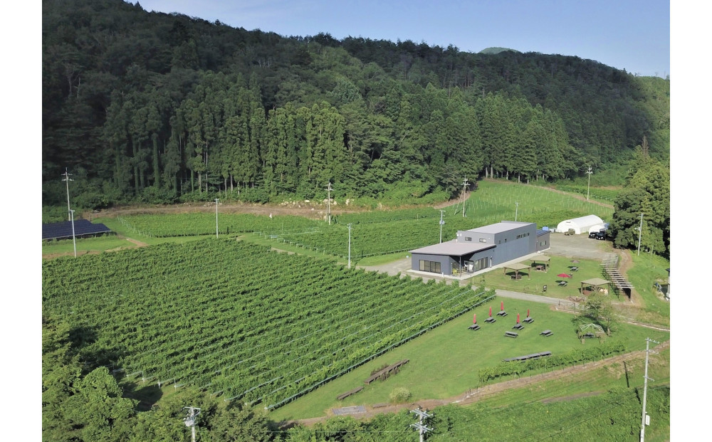 【ふるさと納税】クラフトバレーブレンドルージュ　CRAFT VALLEY BLEND ROUGE 2023 ／ 750ml×1本　お酒 アルコール飲料 ワイン 赤ワイン 白ワイン  家飲み  飲み会 イベント 仙台市