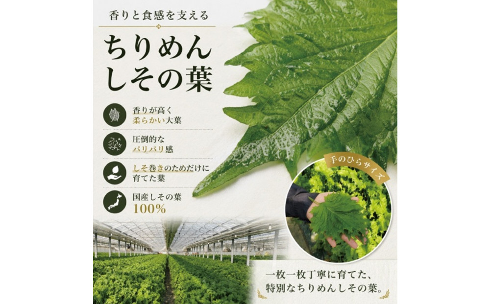 宮城名物 焼きしそ巻き 5種6パック 食べ比べセット 360g
