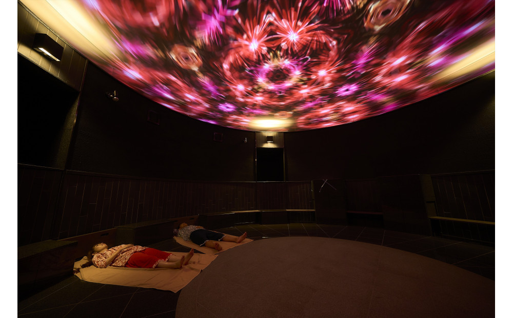 【ふるさと納税】愛子天空の湯 そよぎの杜 入館・岩盤浴無料券11枚　温泉 露天風呂 サウナ 日帰り 天然温泉 観光 旅行 旅 回数券 入浴券 仙台市　