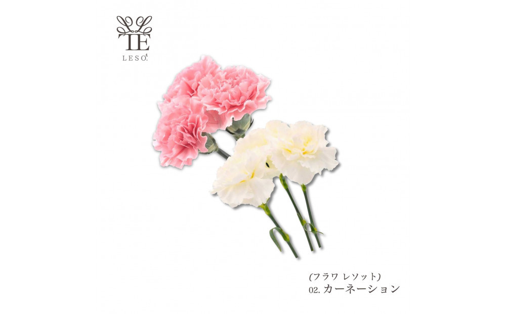 譛ャ迚ゥ縺ョ闃ア縺ョ鬥吶j 繝ェ繝シ繝峨サ繝繧」繝輔Η繝シ繧カ繝シ 縲舌き繝シ繝阪シ繧キ繝ァ繝ウ縲