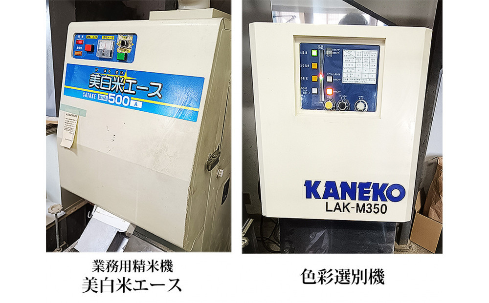 【定期便】【宮城県産 ひとめぼれ】 令和7年度産 精米 5kgX3回　仙台市 ひとめぼれ 定期便 精米 高品質 美味しい ご飯 和食 健康 安心 安全 お取り寄せ ふるさと納税 人気