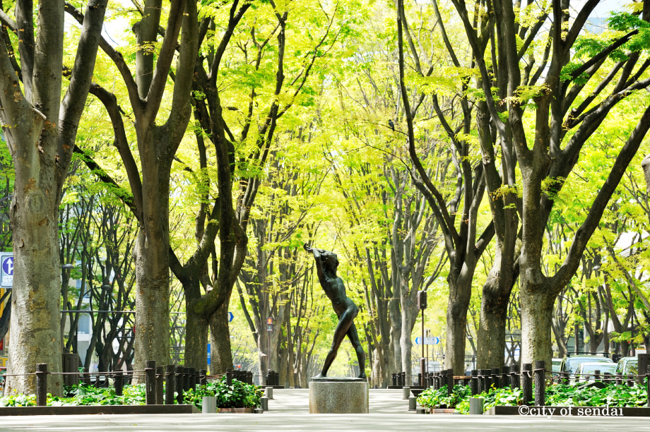 街路樹・公園管理