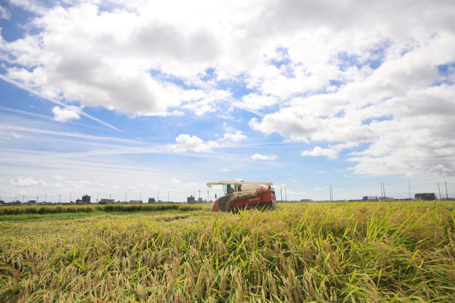 ふるさと農業振興事業
