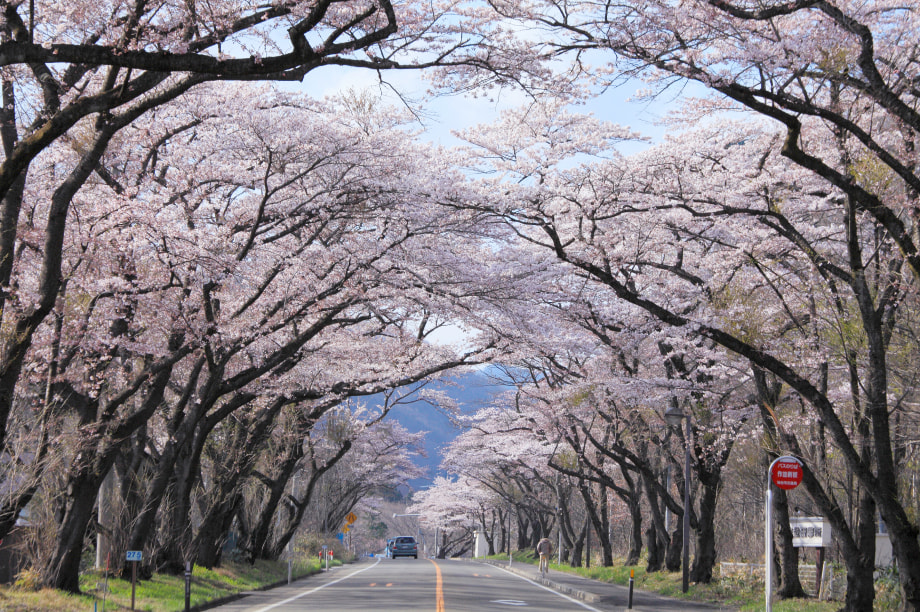 秋保・広瀬・大沢・根白石地域活性化サポーター