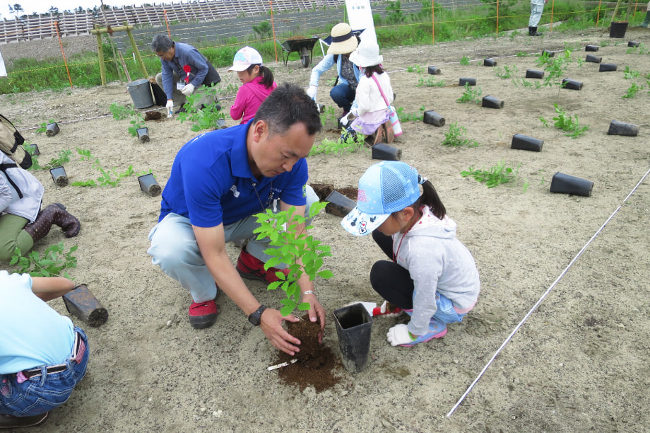 ふるさとの杜再生