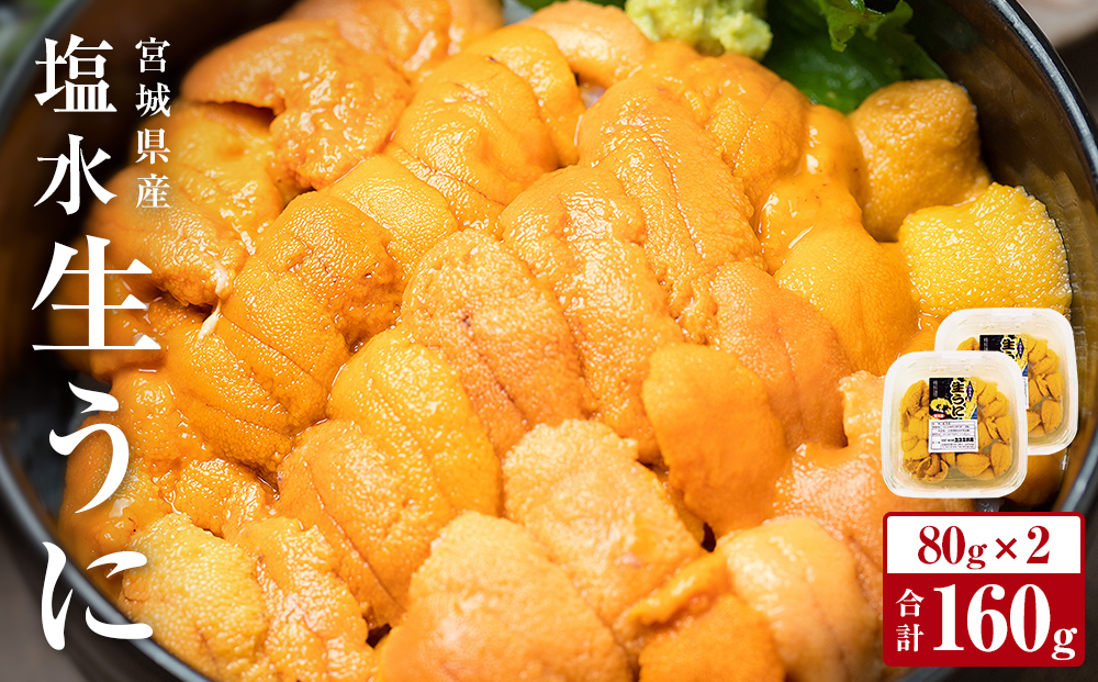 ＜先行予約：2026年5月下旬以降順次発送＞宮城県産 塩水 生うに 160g（80g×2） 宮城県産 生ウニ 生雲丹 うに ウニ 雲丹 新鮮うに ムラサキウニ むらさきうに うに丼 ウニ丼 雲丹 塩水うに 塩水ウニ 塩水雲丹 ウニ