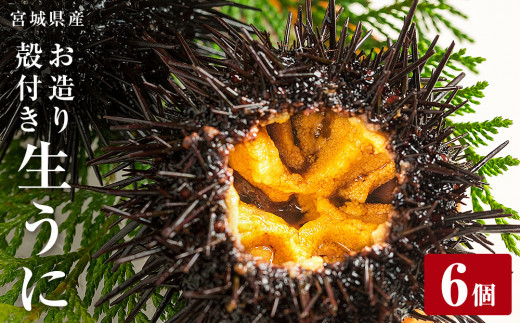 ïŒå
è¡äºçŽïŒ2026幎5æäžæ¬ä»¥éé æ¬¡çºéïŒ å®®åçç£ ãé ãçãã« 6å çãŠã çé²äž¹ ãã« ãŠã é²äž¹ æ®»ä»ããã« æ®»ä»ããŠã æ®»ä»ãé²äž¹ ãŠã