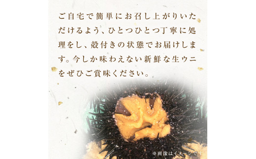 ïŒå
è¡äºçŽïŒ2026幎5æäžæ¬ä»¥éé æ¬¡çºéïŒ å®®åçç£ ãé ãçãã« 6å çãŠã çé²äž¹ ãã« ãŠã é²äž¹ æ®»ä»ããã« æ®»ä»ããŠã æ®»ä»ãé²äž¹ ãŠã