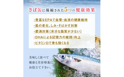 缶詰 さば缶詰（味噌煮）12缶 国産 サバ缶詰 鯖缶詰 さば サバ 鯖 さば缶 サバ缶 鯖缶 さば缶 さば味噌 サバ味噌 鯖味噌 さば味噌煮 サバ味噌煮 鯖味噌煮 STIサバ缶 美味しいサバ 鯖料理に さばの缶詰 サバの缶詰 鯖の缶詰 鯖缶 サバ缶 鯖 鯖缶 サバ缶 鯖 鯖缶 サバ缶 サバ缶