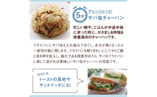 缶詰 さば缶詰（味噌煮）12缶 国産 サバ缶詰 鯖缶詰 さば サバ 鯖 さば缶 サバ缶 鯖缶 さば缶 さば味噌 サバ味噌 鯖味噌 さば味噌煮 サバ味噌煮 鯖味噌煮 STIサバ缶 美味しいサバ 鯖料理に さばの缶詰 サバの缶詰 鯖の缶詰 鯖缶 サバ缶 鯖 鯖缶 サバ缶 鯖 鯖缶 サバ缶 サバ缶