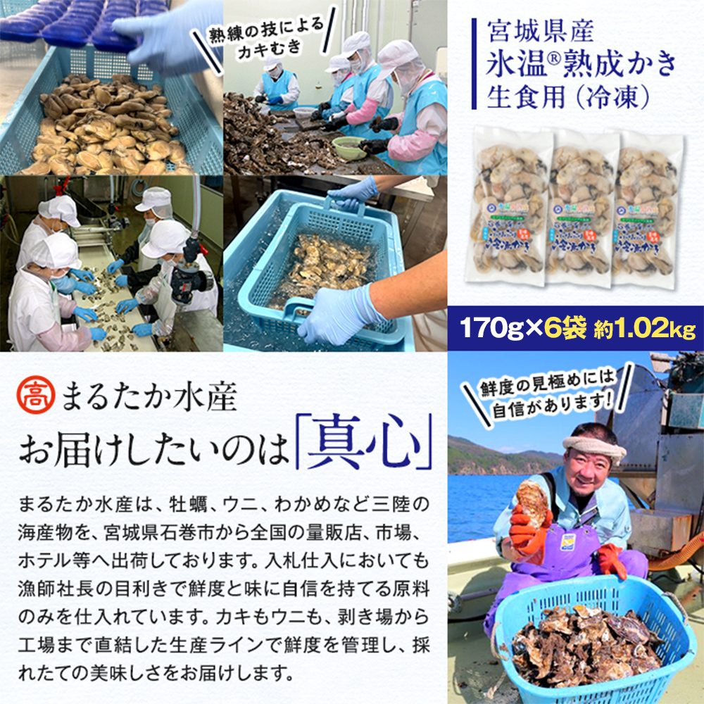 【 先行予約 】【2025年3月中旬から順次発送予定】 牡蠣  170g×6袋 (約1kg) 氷温熟成 冷凍牡蠣 生食用 宮城県産 ｜生食 生で食べられる 牡蠣 小分け 冷凍かき 冷凍カキ 冷凍牡蠣 かきむき身 カキむき身 牡蠣むき身 生かき 生カキ 生牡蠣 冷凍かき 冷凍カキ 冷凍牡蠣 かきむき身 カキむき身 牡蠣むき身 生カキ 牡蠣