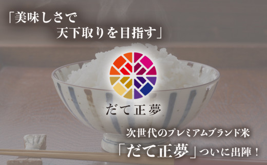 令和6年産 宮城県産 だて正夢 精米 5kg プレミアム ブランド米 石巻 JAいしのまき 伊達正夢