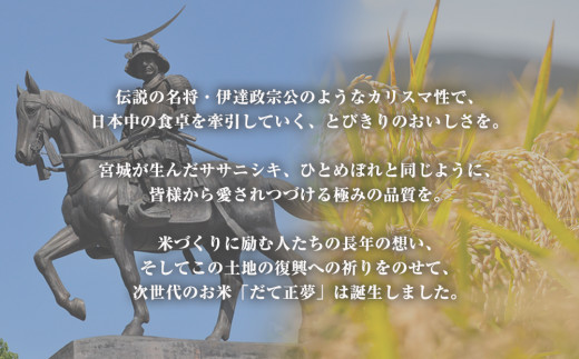 令和6年産 宮城県産 だて正夢 精米 5kg プレミアム ブランド米 石巻 JAいしのまき 伊達正夢