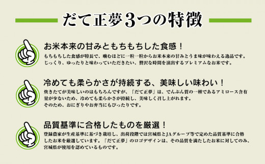 令和7年産 宮城県産 だて正夢 精米 5kg プレミアム ブランド米 石巻 JAいしのまき 伊達正夢