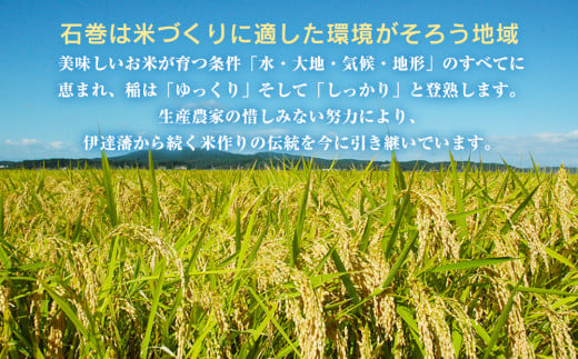 令和6年産 宮城県産 だて正夢 精米 5kg プレミアム ブランド米 石巻 JAいしのまき 伊達正夢