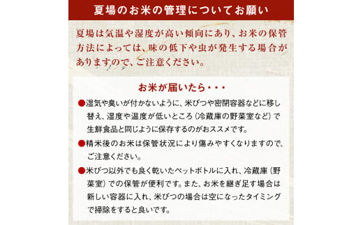 令和6年産 宮城県産 だて正夢 精米 5kg プレミアム ブランド米 石巻 JAいしのまき 伊達正夢