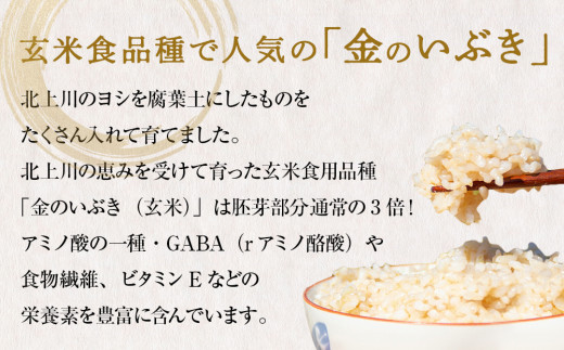 令和6年産 金のいぶき（玄米）5kg