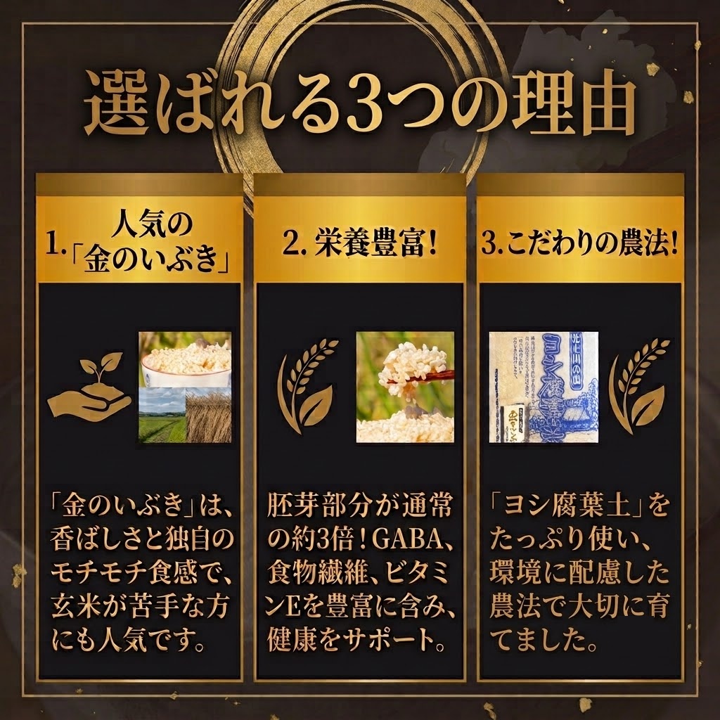 ç±³ 什å7å¹Žç£ éã®ãã¶ã çç±³ 5kg å®®åçç£ ãç±³ åœç£ ãšã·è
èåç±³ ã³ã¡ 5ãã å°é å°åã å®¶åºçš ã飯 ãããŸã ãåœå°ç±³ ãã«ãã ãã¯ã çŸå³ãã äž»é£ æ é€è±å¯ å¥åº·é£å é£ç©ç¹ç¶ ãã¿ãã³ ãã«ã·ãŒ éæç¡æ ãåãå¯ã å®®åç ç³å·» ç³å·»åž