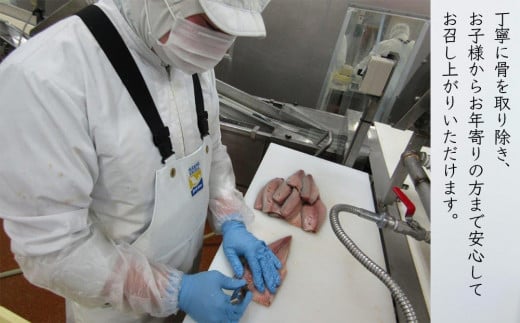 金華さばフィレ 骨取り (個包装) 5枚 冷凍 個包装 小分け 金華サバ 無塩 骨なし 鯖