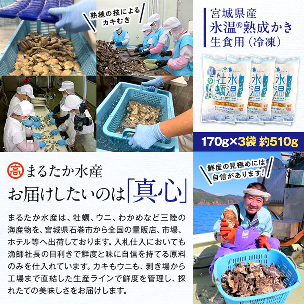 牡蠣 生食用 氷温熟成 冷凍牡蠣 生食用 170g×3袋 (510g) 宮城県産氷温熟成 冷凍牡蠣 生食用 宮城県産 ｜ 生で食べられる 牡蠣 小分け 冷凍かき 冷凍カキ 冷凍牡蠣 かきむき身 カキむき身 牡蠣むき身 生かき 生カキ 生牡蠣　冷凍かき 冷凍カキ 冷凍牡蠣 かきむき身 まるたか水産
