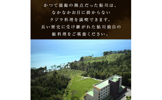 島周の宿 さか井 ペア宿泊券 一泊二食付き 「漣」プラン 宿泊 宿泊券 ペア ホテル