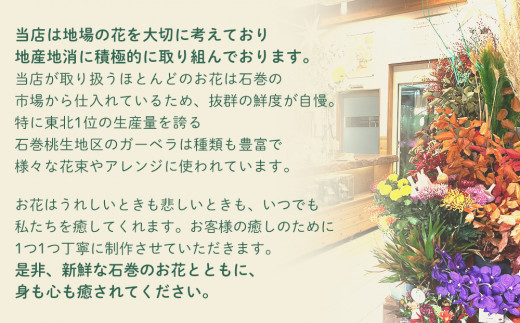 ＜定期便＞季節の定期便アレンジメント(年4回)  花 生花 フラワー アレンジメント 春夏秋冬