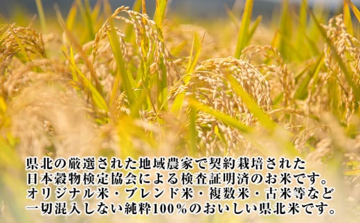 令和6年産 宮城県産 つや姫 精米 10kg 石巻産 つや姫 精米 つや姫 1等米 つや姫